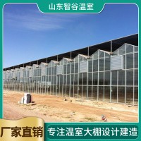 温室大棚造价