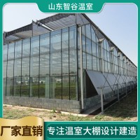 智能连栋温室大棚
