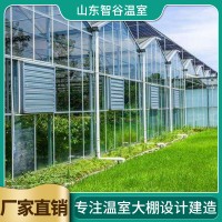 智能农业大棚