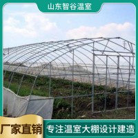 大棚骨架
