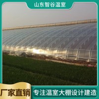 连栋日光温室大棚