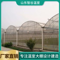 连栋温室大棚