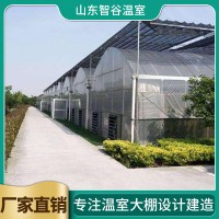 双层薄膜连栋温室造价