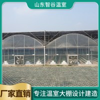 连栋温室大棚造价