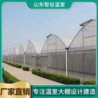 连栋温室