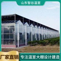 阳光板温室大棚价格
