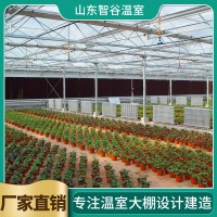 阳光板温室一平方米价格