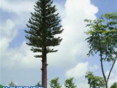 仿生树，又叫仿生塔、仿生通讯塔，属于通信发射塔技术领域。