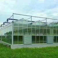 草莓温室大棚