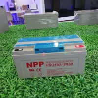 NPP蓄电池 厂家 