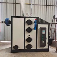 100公斤生物质蒸汽发生器