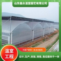 连栋温室大棚造价多少钱