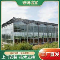 阳光板温室大棚